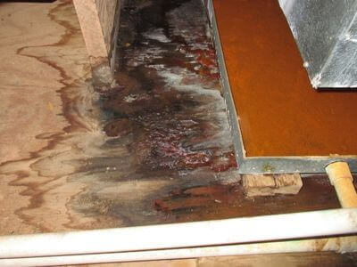 About Protecting Homes with Professional Water Damage Repair - water damage restoration experts in Ashville, AL