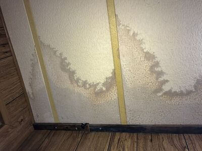 Professional water damage restoration services in Ashville, AL - Protecting Homes with Professional Water Damage Repair